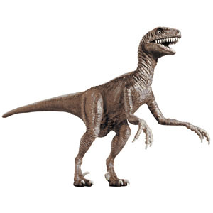 LINDBERG Velociraptor /Raptor