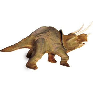 LINDBERG Triceratops