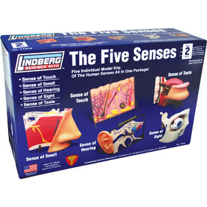 LINDBERG 5 Senses Assortment (in one pkg)