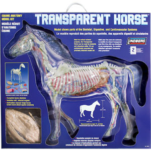 LINDBERG Transparent Horse - 14" (36 cm)
