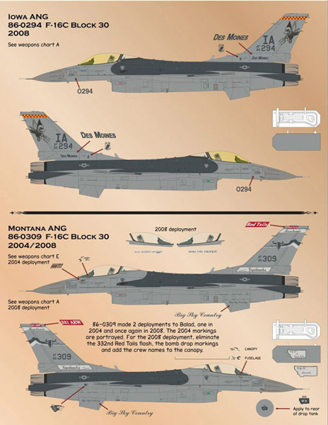 եСʡǥ 1/48 ƶ F-15C493ƮGrim Reapers - ɥĤ