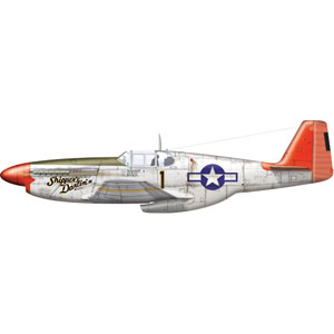 アキュレイトミニチュア 1/48 タスキーギ・エアメン P-51C ”マスタング”