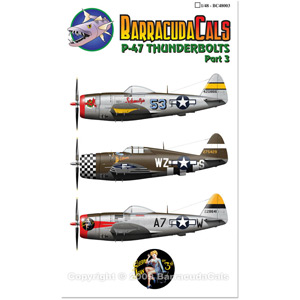 Barracudacals 1/48 P-47 Thunderbolts - Part.3