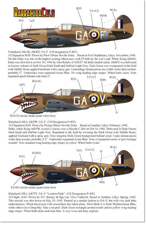 Х饯ǥ 1/48 P-40s RAF 112 Part.1
