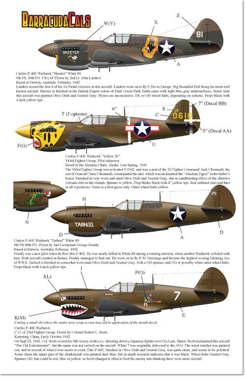 Х饯ǥ 1/48 P-40E ۡ Part.1