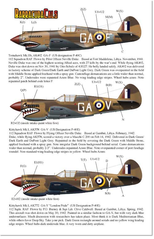 Х饯ǥ1/72 P-40RAF 112 Part.1 - ɥĤ