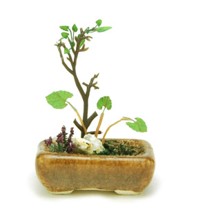 ץå 1/12THE BONSAI ȭ󤻿