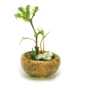 ץå 1/12THE BONSAI ȭ󤻿