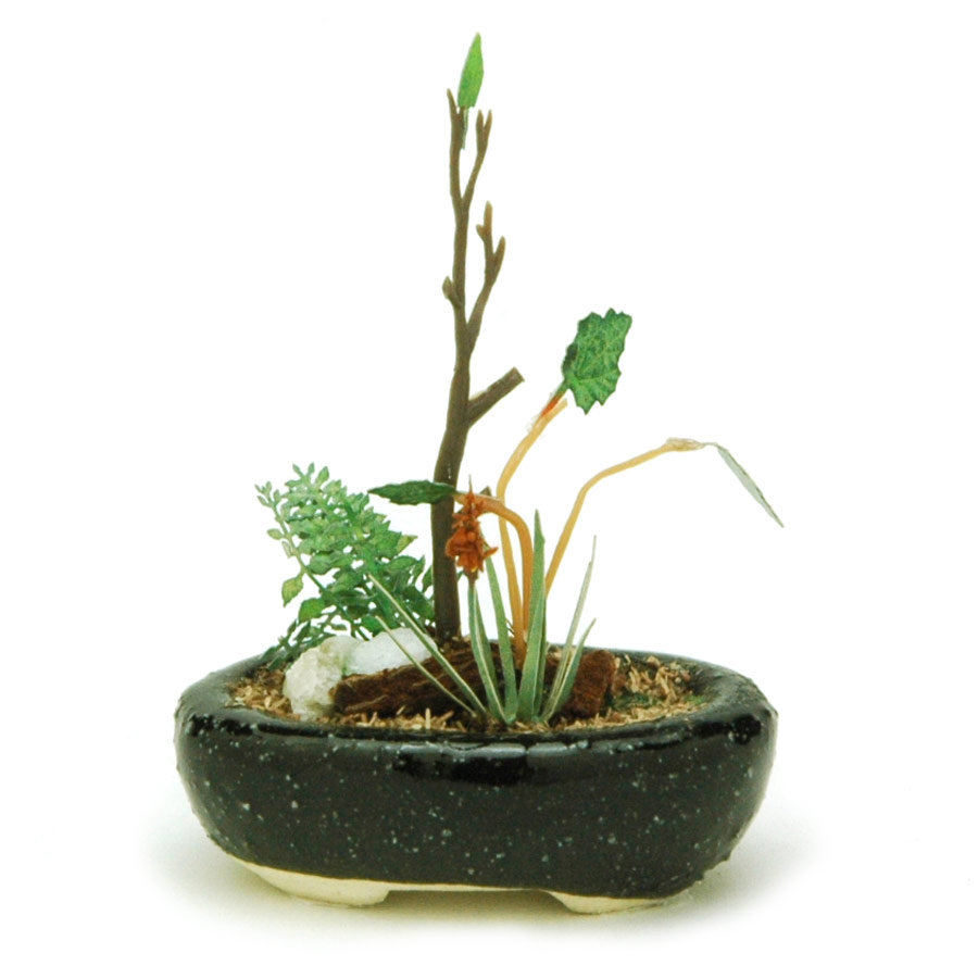 ץå 1/12THE BONSAI Ƚȭ󤻿ڹ