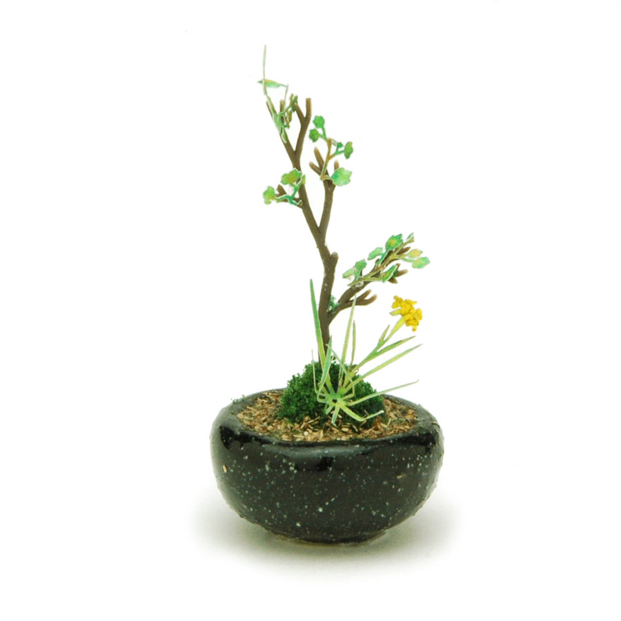 ץå 1/12THE BONSAI ȭ󤻿ڹ - ɥĤ