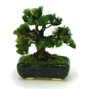 PLATZ 1/12 THE BONSAI Pine w/Square pod (Black)