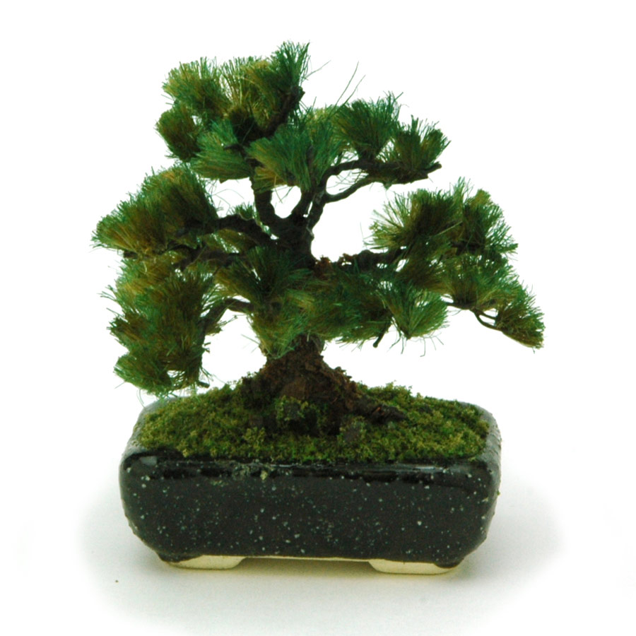 ץå 1/12THE BONSAI ȭڹ