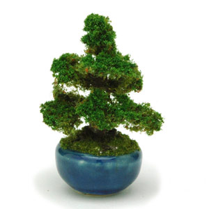 ץå 1/12THE BONSAI ȭں