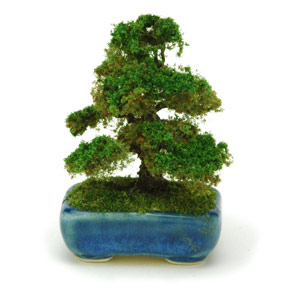 PLATZ 1/12 THE BONSAI Japanese cedar w/Square pod(Blue)