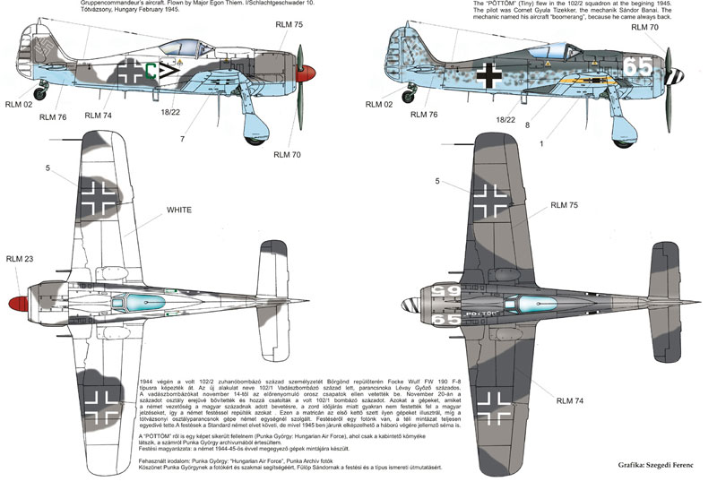 HADǥ 1/48 FW-190 F-8 ɥĶ