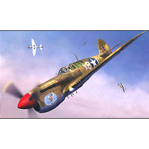 ۥӡեȥʥ 1/48 P-40F "ǥȥۡ"