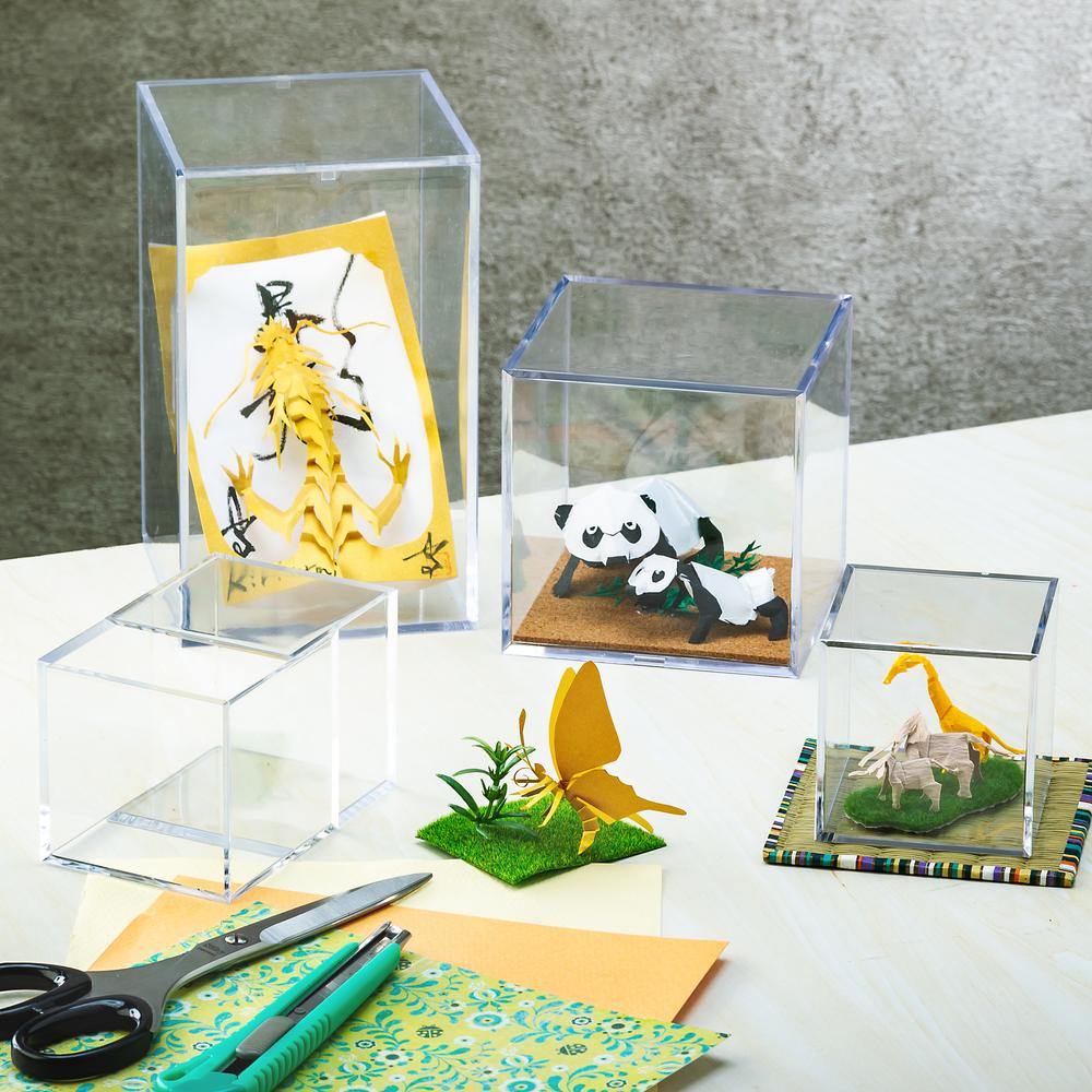 MINORU CUBE Clear Display Case S(Small)