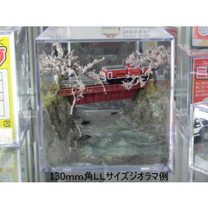 MINORU CUBE Clear Display Case LL(Extra Large)