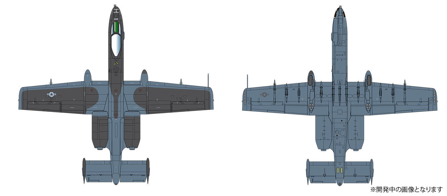 1/144 USAF A-10C Thunderbolt II 122th FW "Blacksnake" (2 kits)