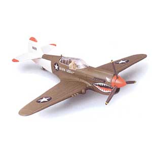 TESTORS 1/48 P-40 Airplane