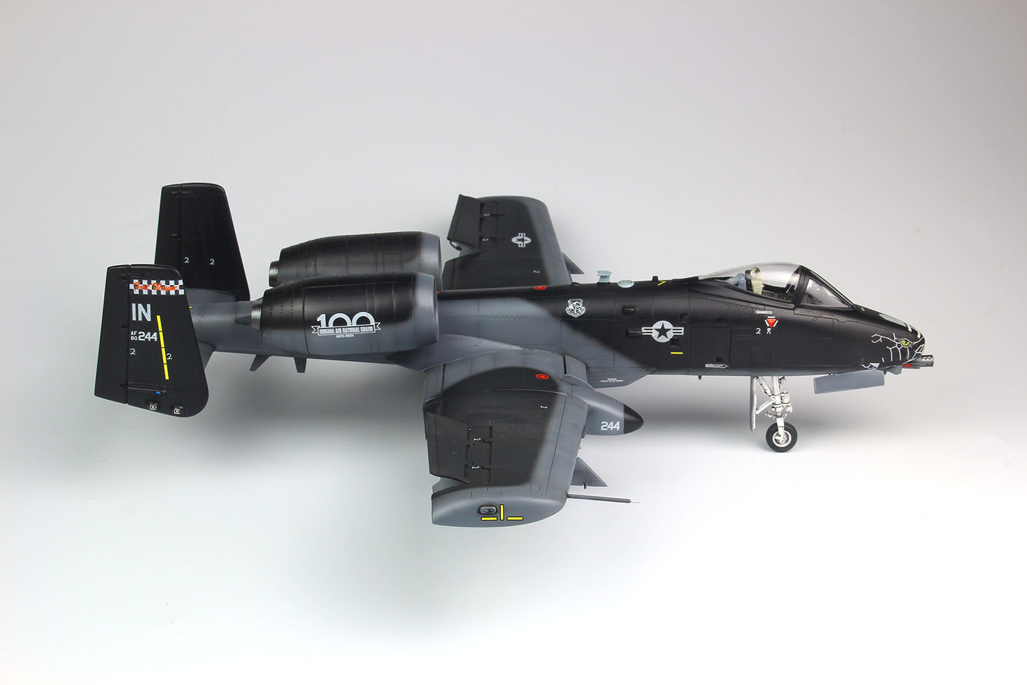 PLATZ 1/48 USAF Attack Aircraft A-10C Thunderbolt II Blacksnake