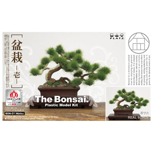 PLATZ 1/12 THE BONSAI Plastic Model Kit Part 1