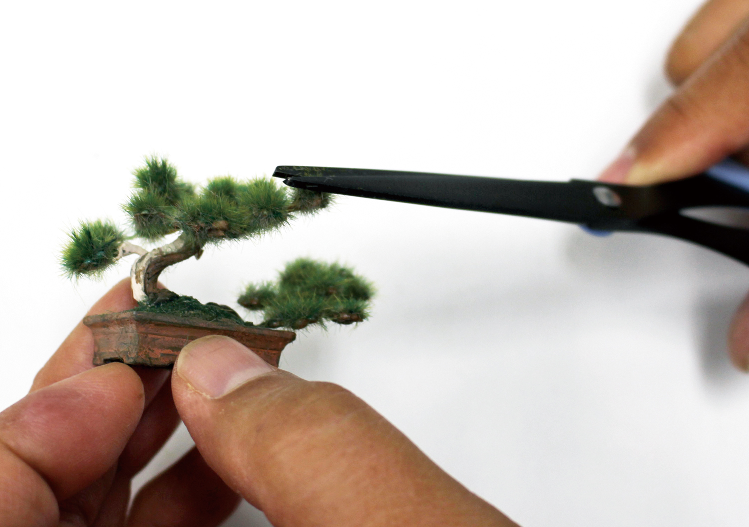 PLATZ 1/12 THE BONSAI Plastic Model Kit Part 1