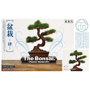 PLATZ 1/12 THE BONSAI Plastic Model Kit Part4