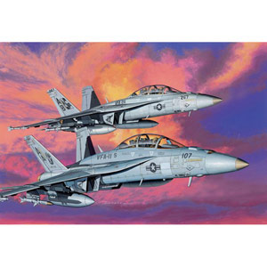 ɥ饴1/144 ꥫ F/A-18F ѡۡͥå VFA-11 åɥåѡ & VFA-211