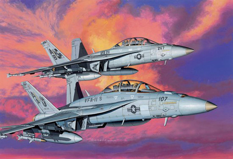 ɥ饴1/144 ꥫ F/A-18F ѡۡͥå VFA-11 åɥåѡ & VFA-211 - ɥĤ