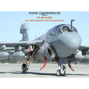 フライングレザーネックスアメリカ海兵隊 EA-6B プラウラー実機画像 Photo CD