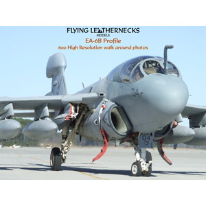 Flyingleathernecks