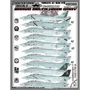 եǥ 1/48 ꥫ F-14B/D ȥ७å at War Part.3ѥǥ