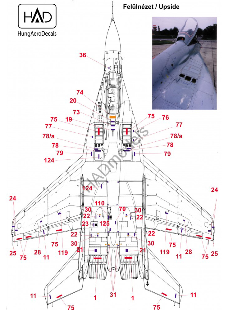 HADǥ 1/48 MiG-29  ǡǥ