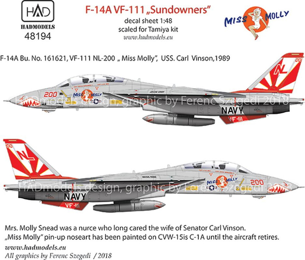 HADǥ 1/48 ꥫ F-14A ȥ७å VF-111 ʡ Miss Mollyѥǥ