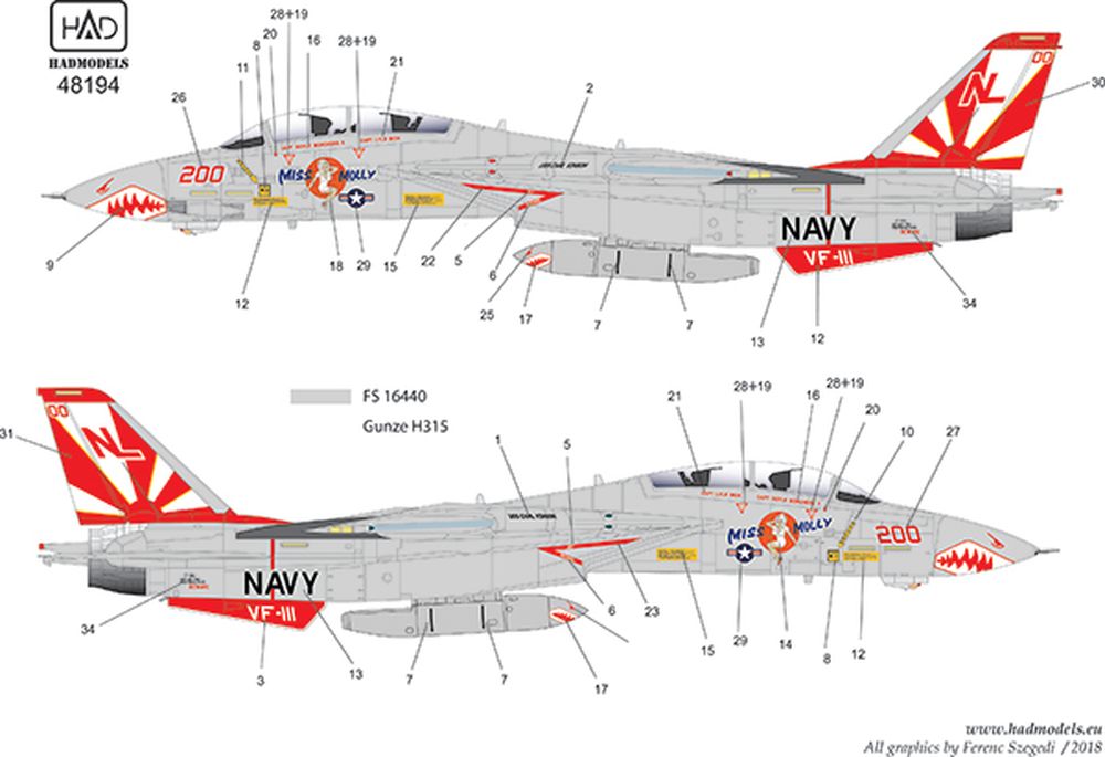 HADǥ 1/48 ꥫ F-14A ȥ७å VF-111 ʡ Miss Mollyѥǥ