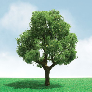 JTT 情景用 落葉樹 (約7.6cm〜8.8cm) HOスケール （2本入り）