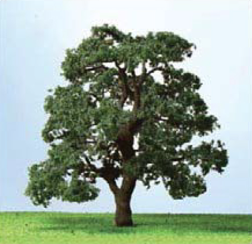 JTT 情景用 ナラの木(約7.6cm〜8.8cm) HOスケール （2本入り） - ウインドウを閉じる