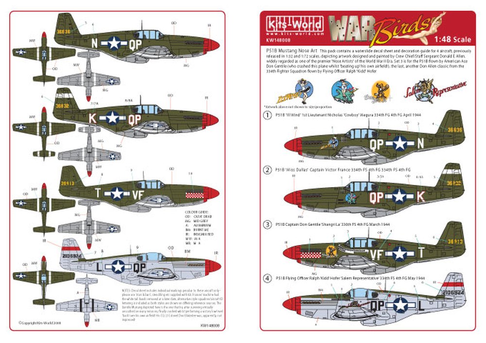 åĥ 1/48 WW.II P-51D ޥ Shanghri La & Salem Representativ