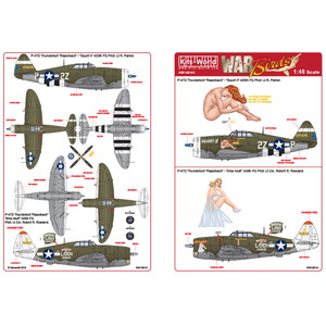 åĥɥǥ 1/48 WW.II ꥫ P-47D ܥ 쥶Хå "Miss Mutt"