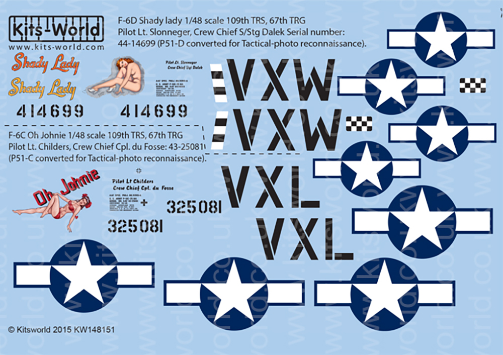 åĥɥǥ 1/48 WW.II ꥫ P-51/ F-6D ޥ - ɥĤ