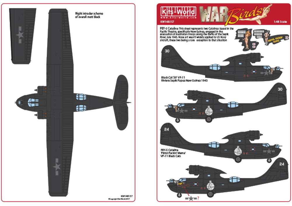 åĥɥǥ 1/48 WW.II ꥫ PBY-5A  ֥åå 30