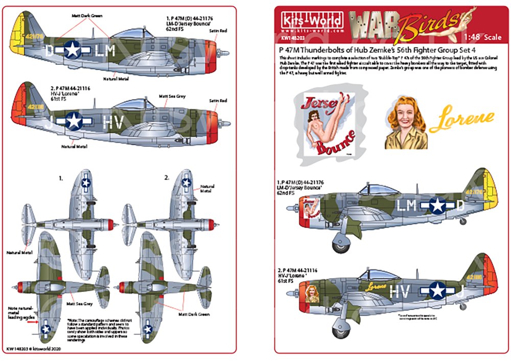 1/48 WW.II ꥫP-47D ܥ 쥤Хå56Ʈ롼 ǥ륻å 4