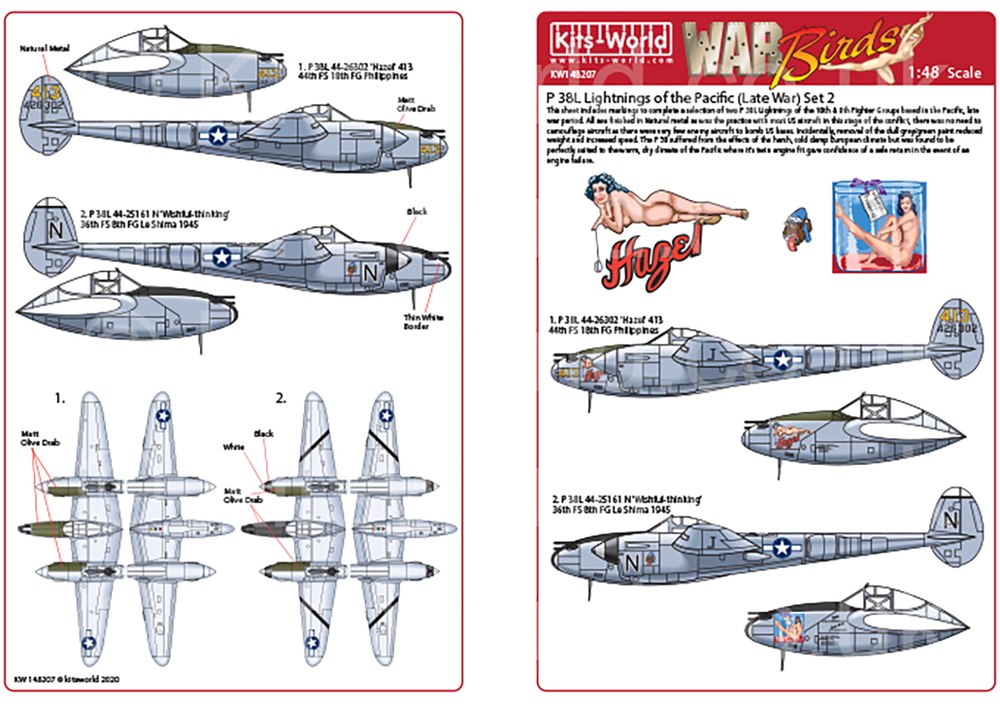 1/48 WW.II ꥫP-38饤ȥ˥ѡʿ˥ǥ륻å2