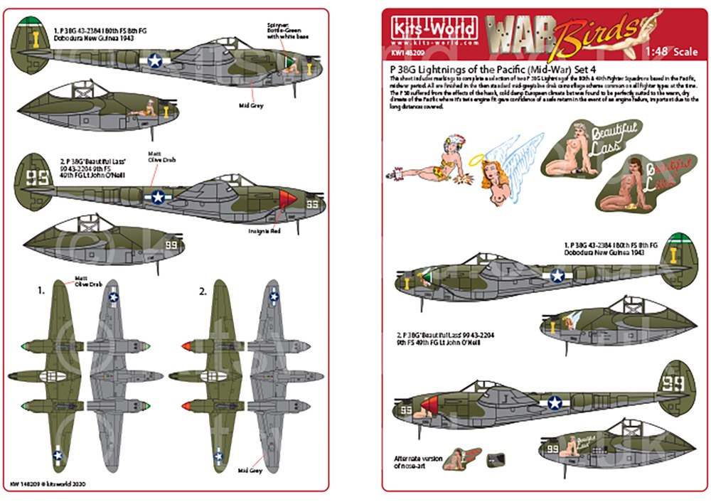 1/48 WW.II ꥫP-38G饤ȥ˥ѡʿ˥ǥ륻å1