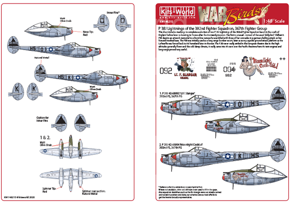 1/48 WW.II ꥫ P-38J 饤ȥ˥󥰥 2 - ɥĤ