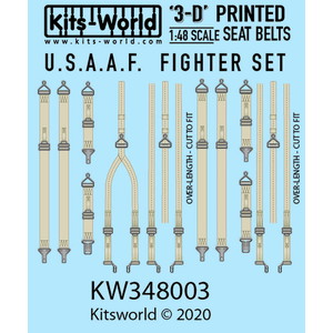 1/48 WW.II ꥫ Ʈ ȥ٥ ǥơ륢å 3Dǥ