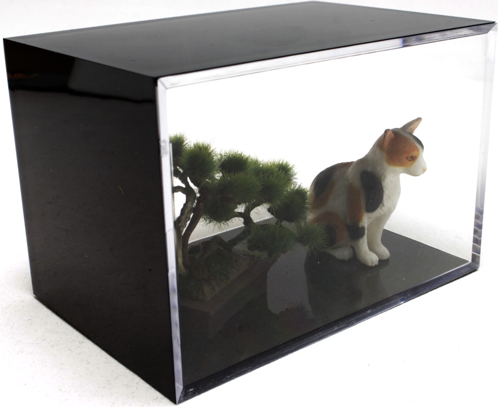 MINORU CUBE Clear Display Case CLEAR x BLACK (Long Rectangularl)