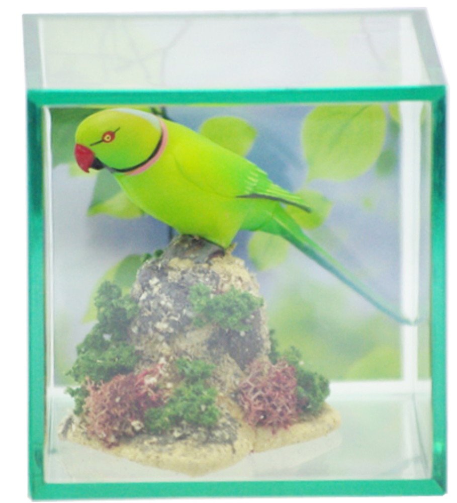 MINORU CUBE Clear Display Case (Greenish Glass Color) L