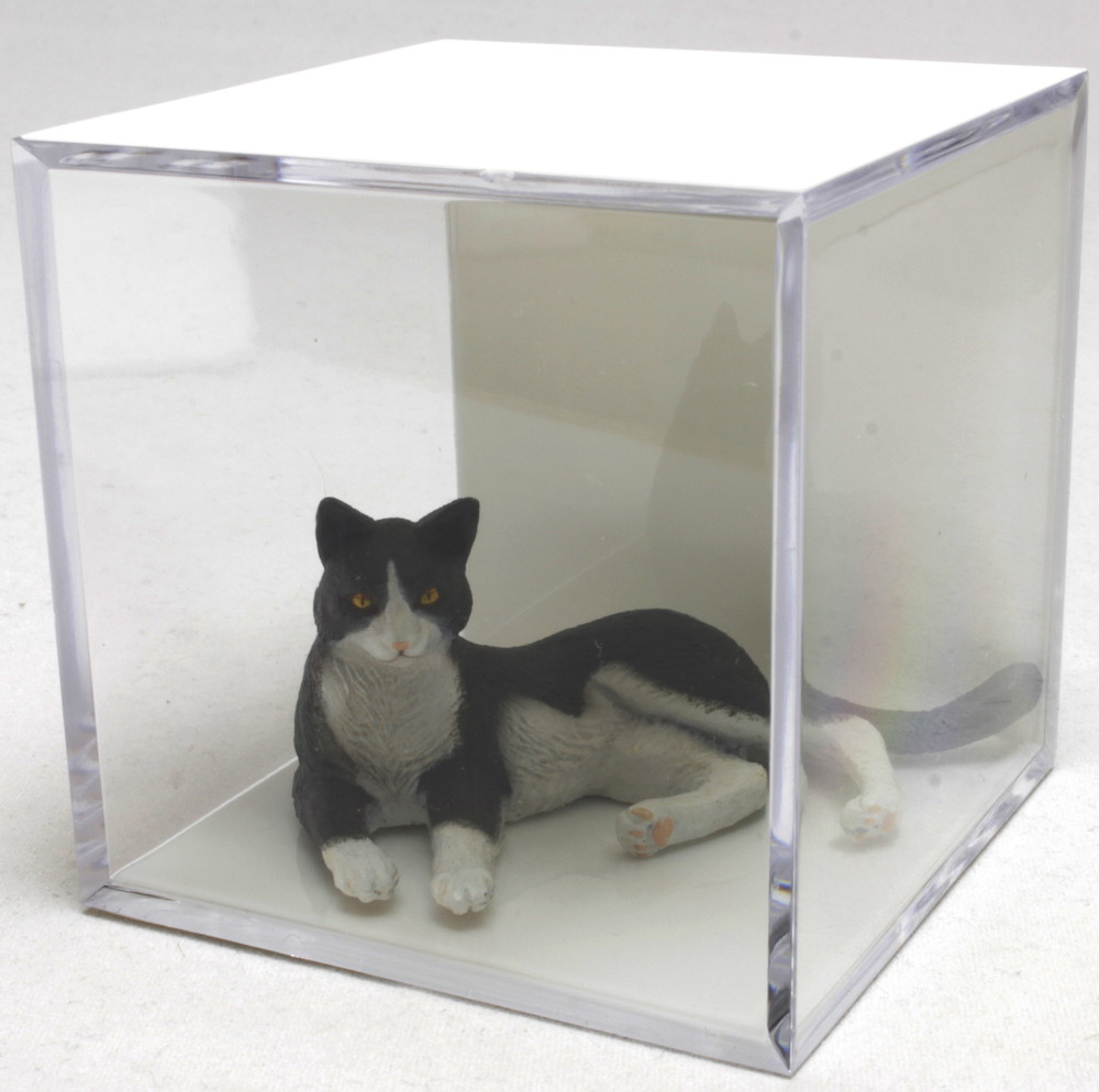 MINORU CUBE Clear Display Case CLEARxWHITE S(Small)